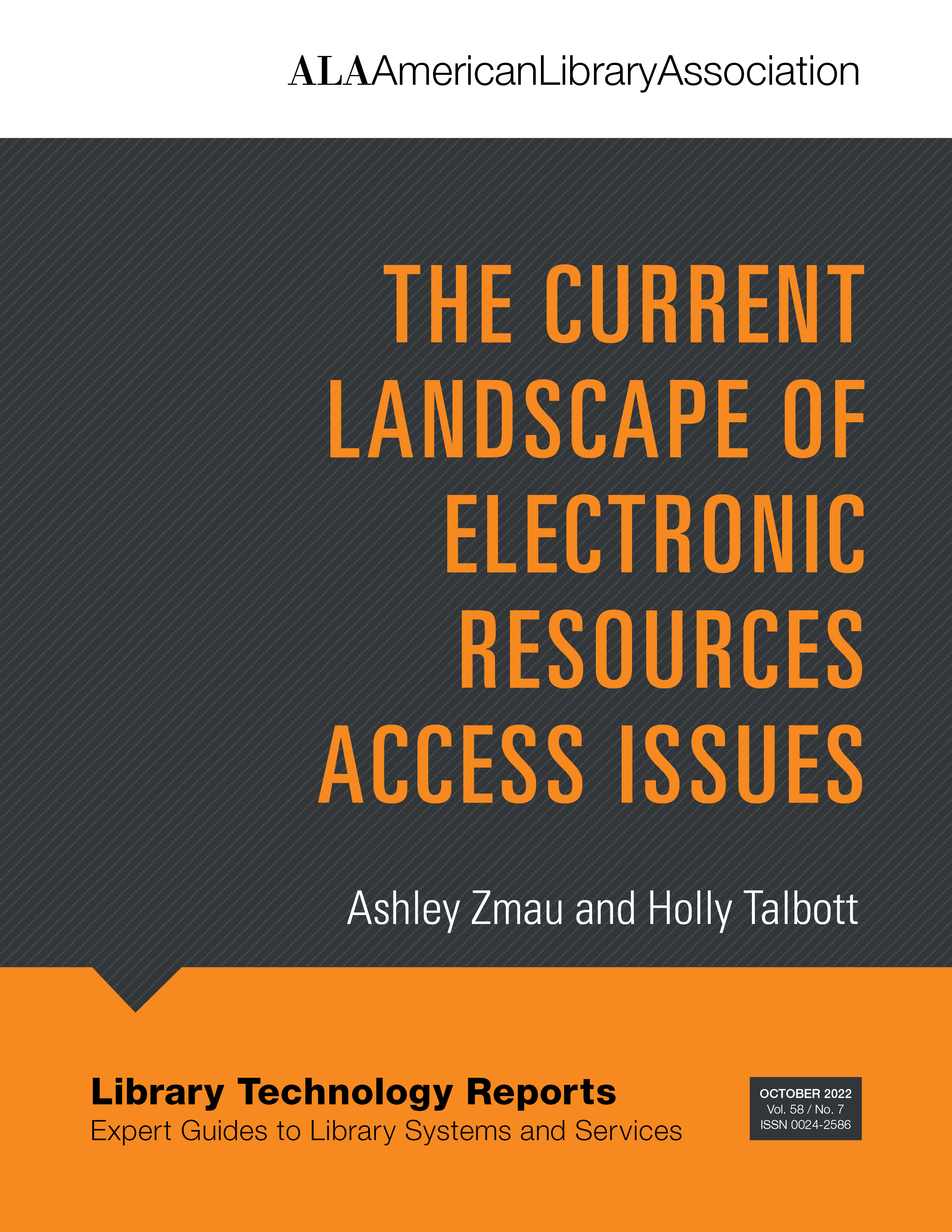 book cover for The Current Landscape of Electronic Resources Access Issues