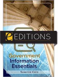 Image for Government Information Essentials—eEditions e-book